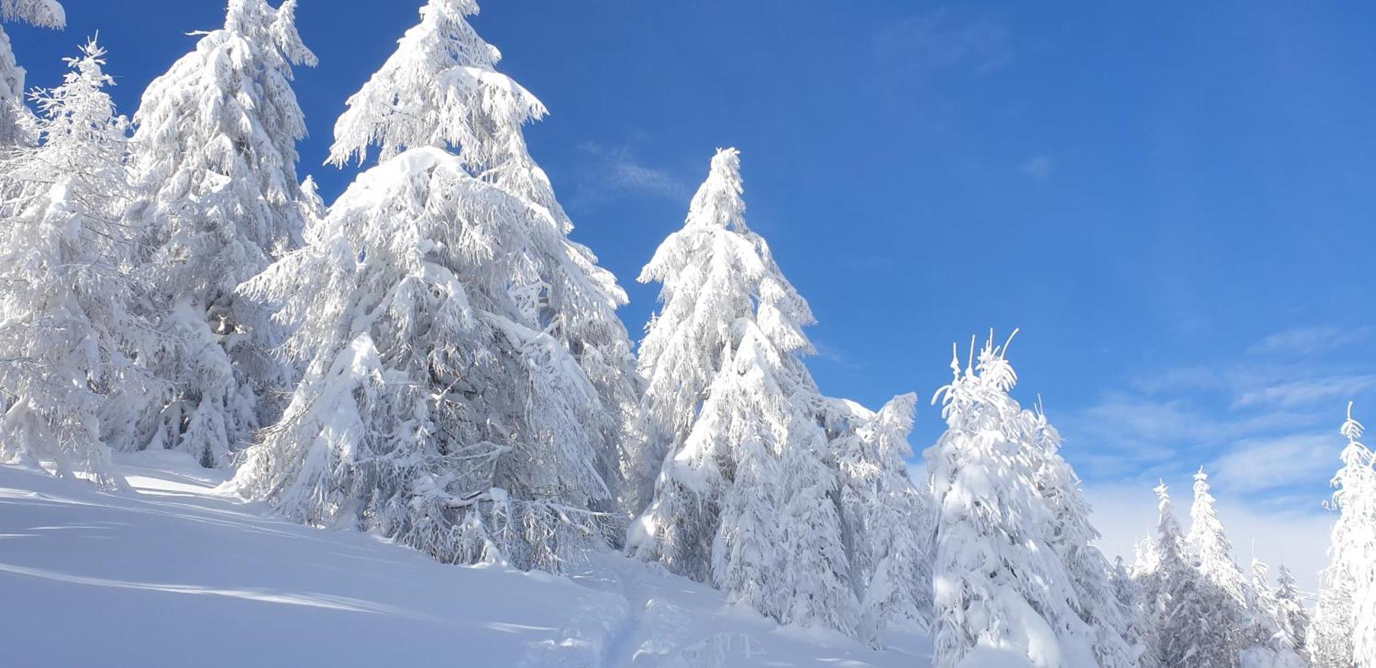 Hotel Sonnenheim Bad Kleinkirchheim Exteriör bild